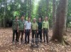 Tái thả cá thể Diều hoa Miến Điện về môi trường tự nhiên