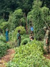 Bù Đốp: Khắc phục hậu quả do thiên tai gây ra