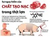 Tăng cường kiểm tra, giám sát, xử lý các trường hợp sử dụng chất cấm trong chăn nuôi, giết mổ gia súc