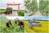 Đẩy mạnh chuyển đổi số trong khu vực kinh tế hợp tác, hợp tác xã