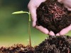 Nâng cao nhận thức về vai trò của giun đất và hoạt động đánh bắt giun đất bằng kích điện