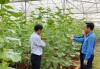 Bình Phước: Đẩy mạnh ứng dụng khoa học, chuyển đổi số trong nông nghiệp