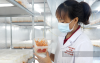 HTX nông nghiệp ở Bình Phước chuyển đổi số toàn diện để sản xuất, kinh doanh hiệu quả