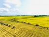 8 nhiệm vụ giải pháp của Bộ Nông nghiệp và Môi trường để đạt mục tiêu tăng trưởng 4%