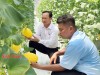 Hướng đến nông nghiệp bền vững