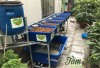 Mô hình trồng rau nuôi cá (aquaponics) hộ gia đình