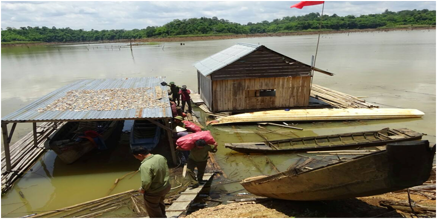 Hình ảnh: Đội tuần tra thu giữ tang vật (măng tươi) bị khai thác trái phép