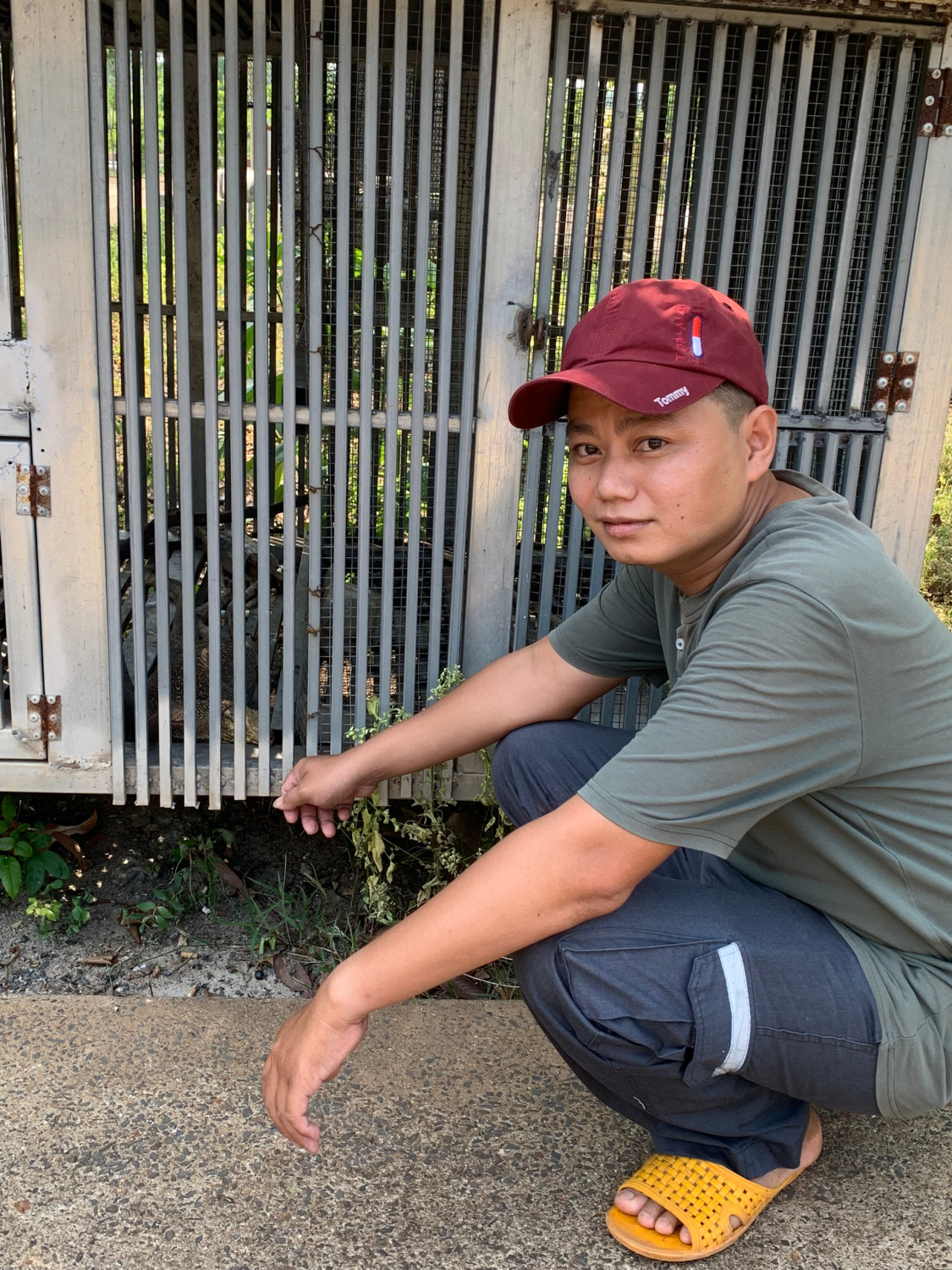 Hạt Kiểm lâm Đồng Phú tiếp nhận Kỳ đà hoa từ người dân để thả về rừng tự nhiên.