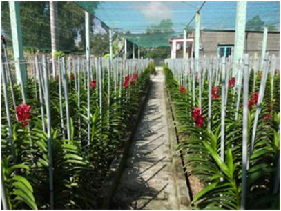 Vườn Lan MoKara