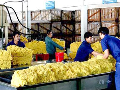 Hình chỉ mang tính chất minh họa