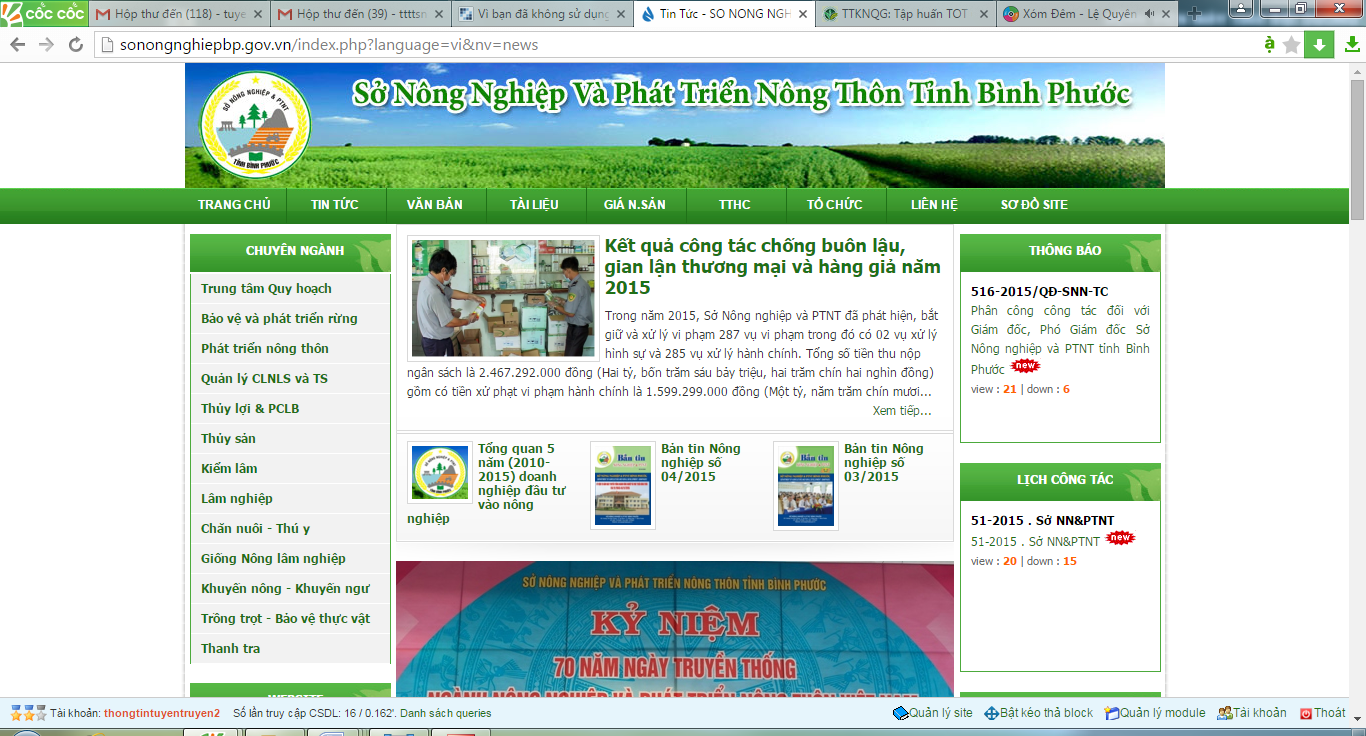 Hình ảnh trang Website hiện tại của Sở