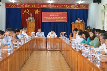 Toàn cảnh Hội nghị