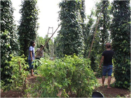 Người dân dựng lại trụ tiêu