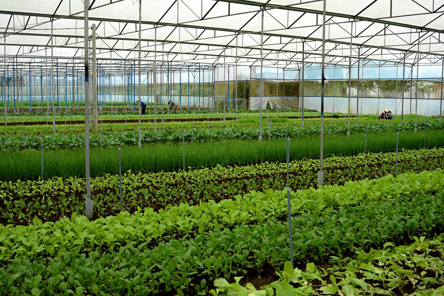 Những chính sách nổi bật có hiệu lực từ tháng 8/2018