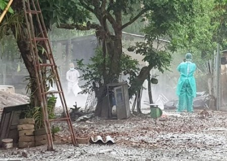Tình hình Dịch tả lợn Châu Phi tại huyện Đồng Phú