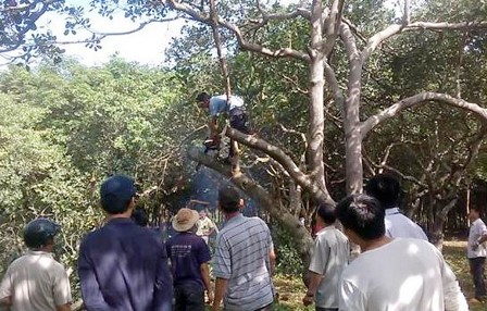 Đào tạo nghề nông nghiệp, nông thôn năm 2020