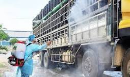 Tăng cường kiểm soát vận chuyển lợn, sản phẩm từ lợn qua biên giới