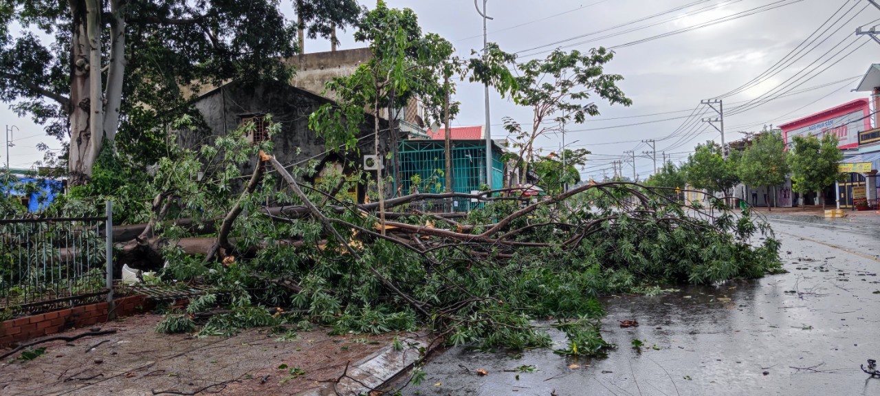 Tình hình thiệt hại do thiên tai gây ra trên địa bàn tỉnh