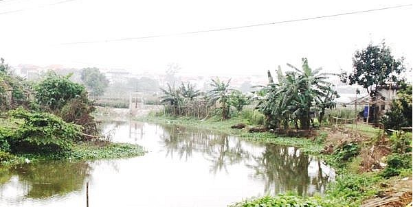 Tăng cường kiểm tra, xử lý vi phạm trong phạm vi bảo vệ công trình thuỷ lợi.