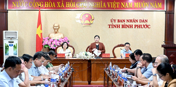 Chủ tịch UBND tỉnh Trần Tuệ Hiền phát biểu chỉ đạo