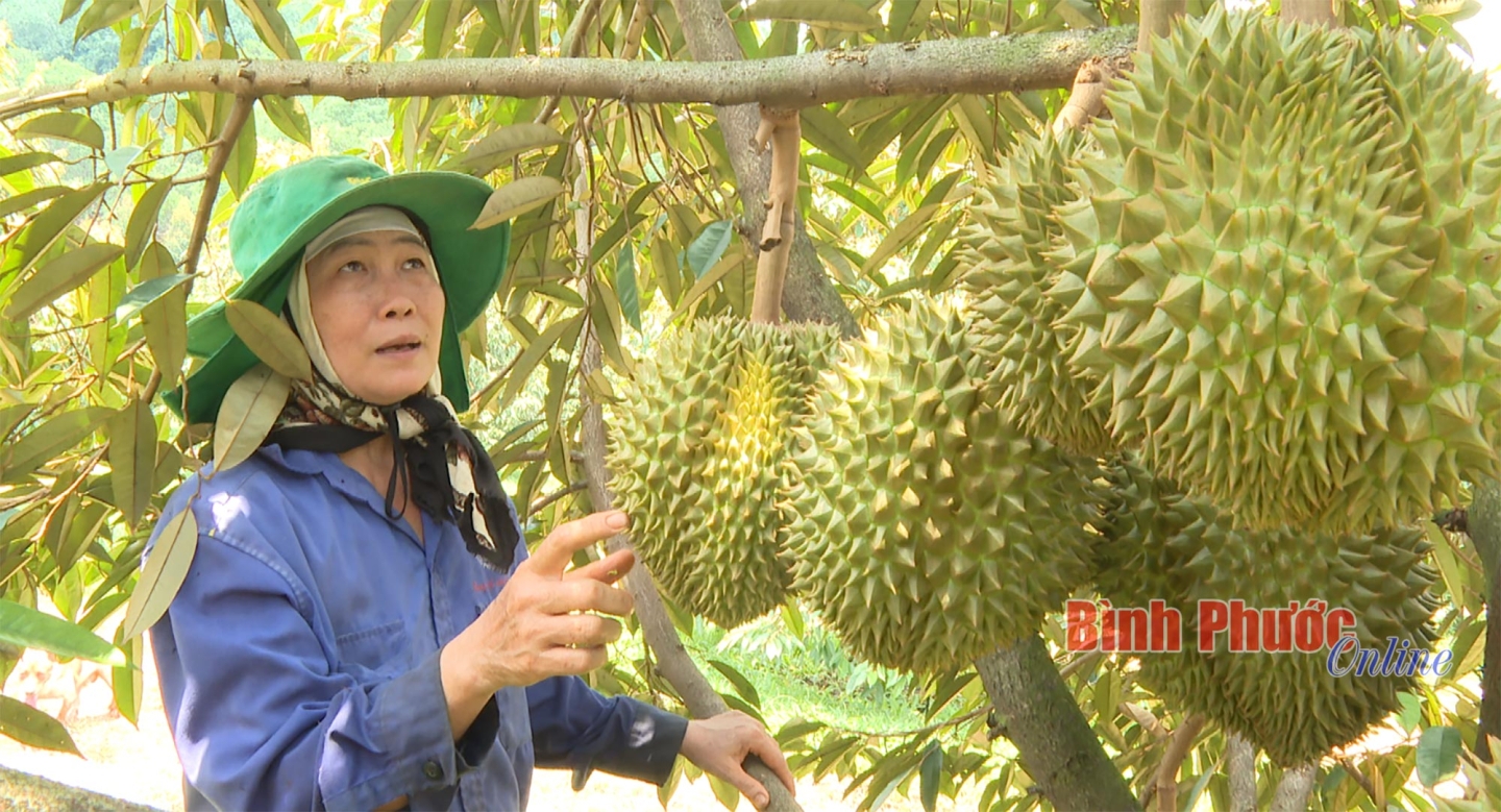 Nghị quyết làm thay đổi tư duy sản xuất